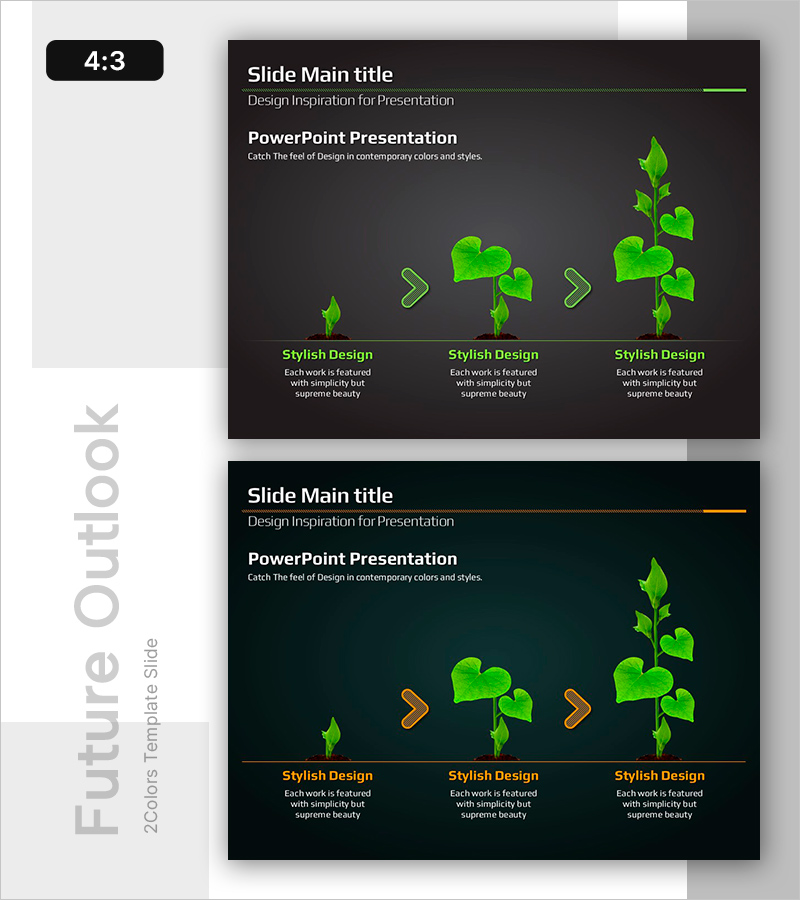 식물 생장 단계의 구조와 특징 – 기술적 통찰