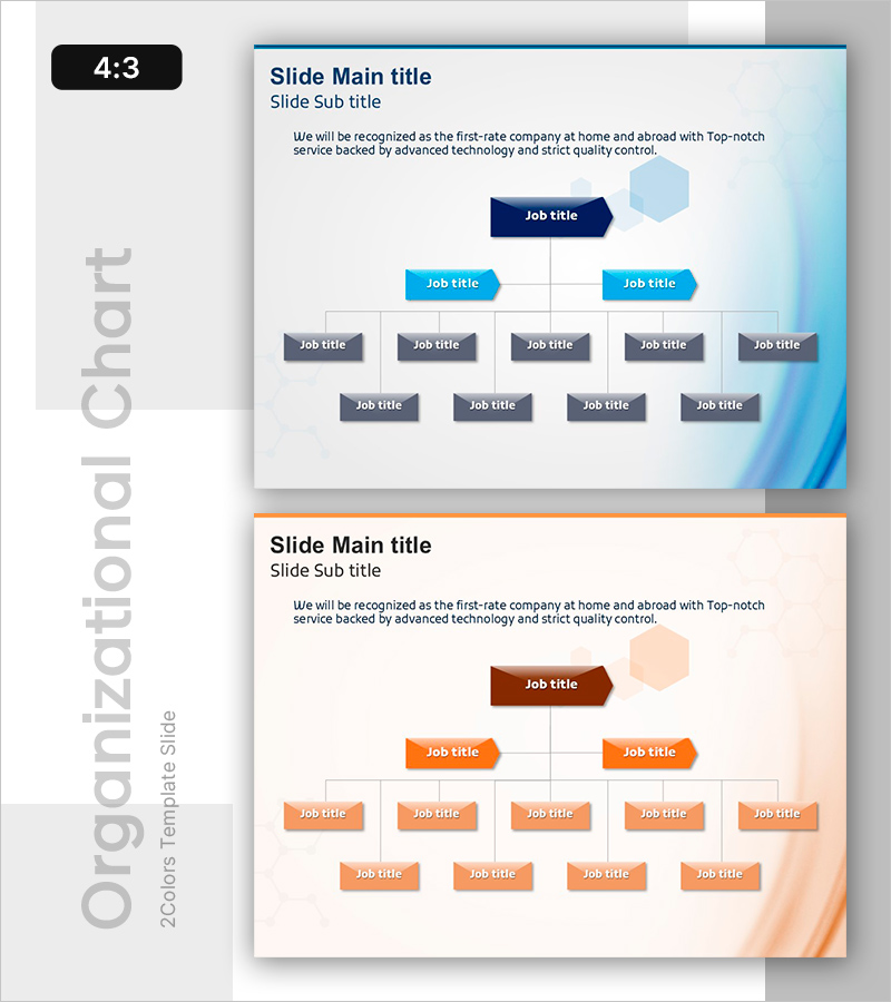 효율성과 전문성을 갖춘 조직 다이어그램 – 조직도 발표
