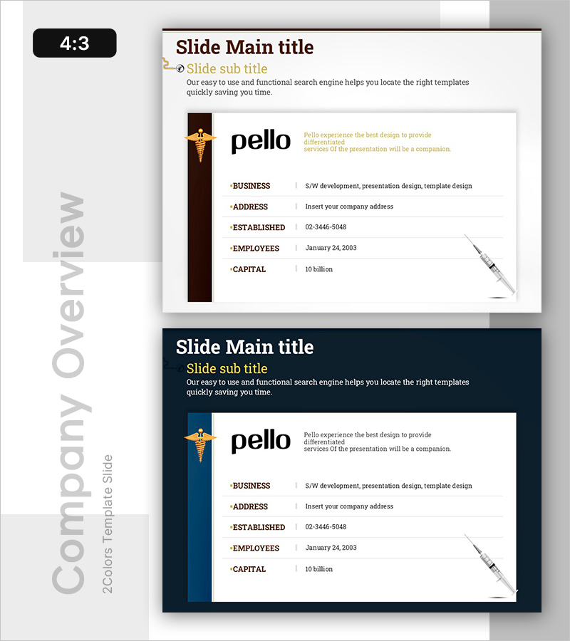 의료 진단 및 평가 보고서 개요 – 효율적이고 전문적인 프레젠테이션