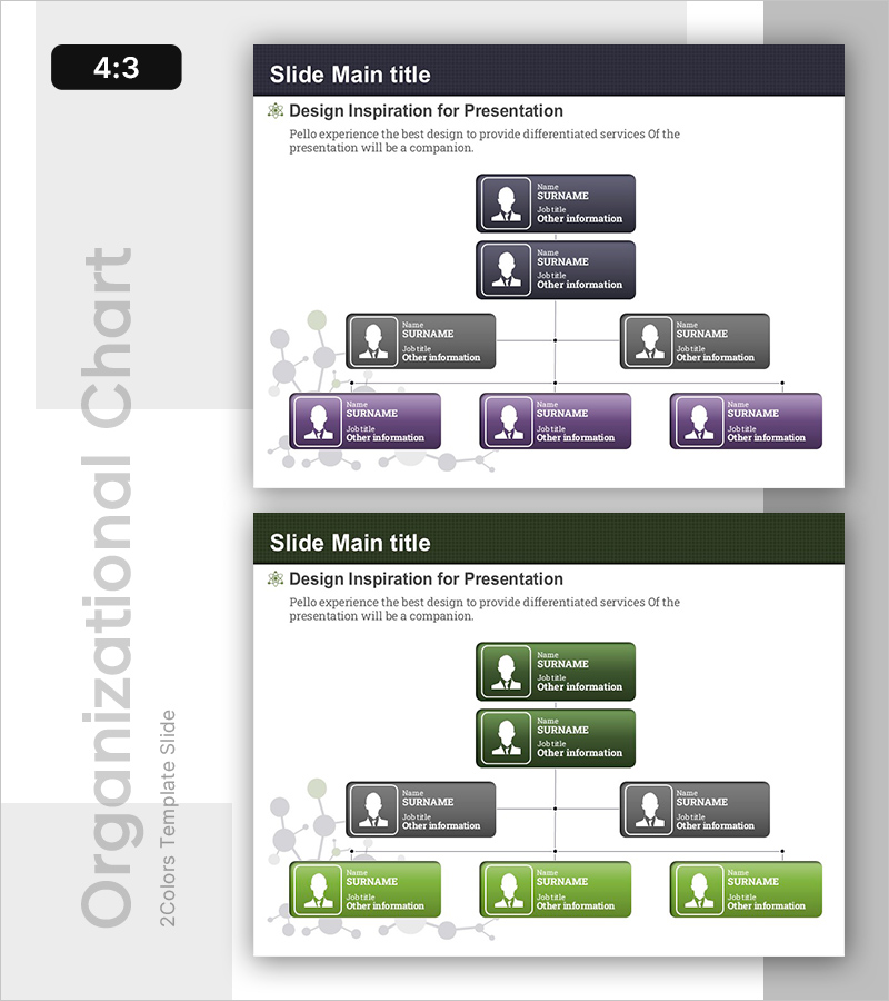 분자 구조 템플릿 조직도 - 명확한 조직 시각화