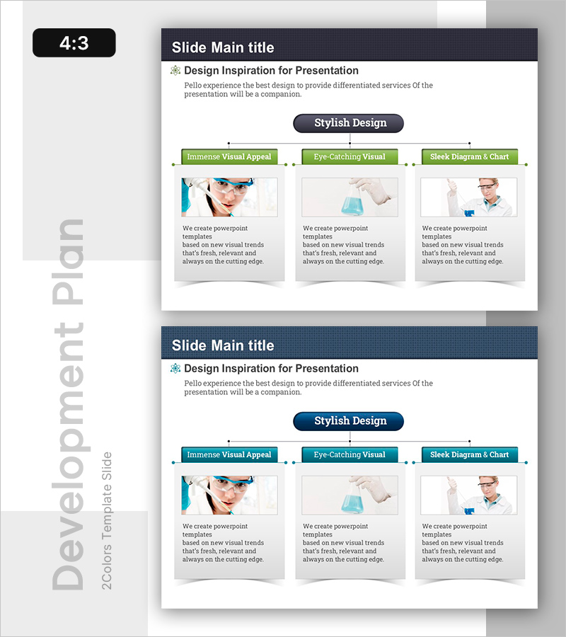 약물 개발 진행 계획 슬라이드