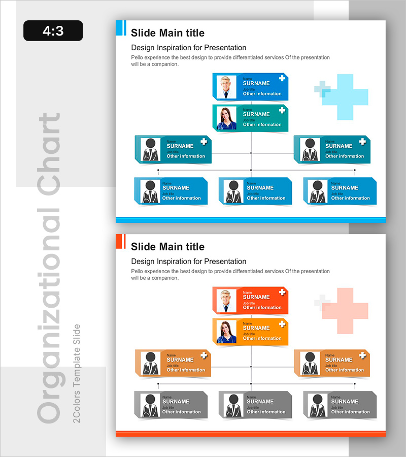 의료진 계층 구조를 통한 팀 구성 시각화 – 전문성과 신뢰