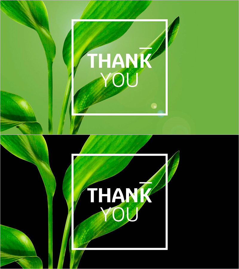 트렌드 컬러 와이드 템플릿 엔딩표지