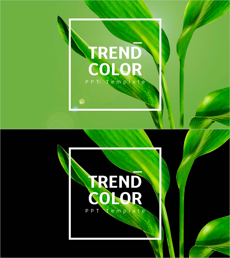 트렌드 컬러 와이드 템플릿 표지