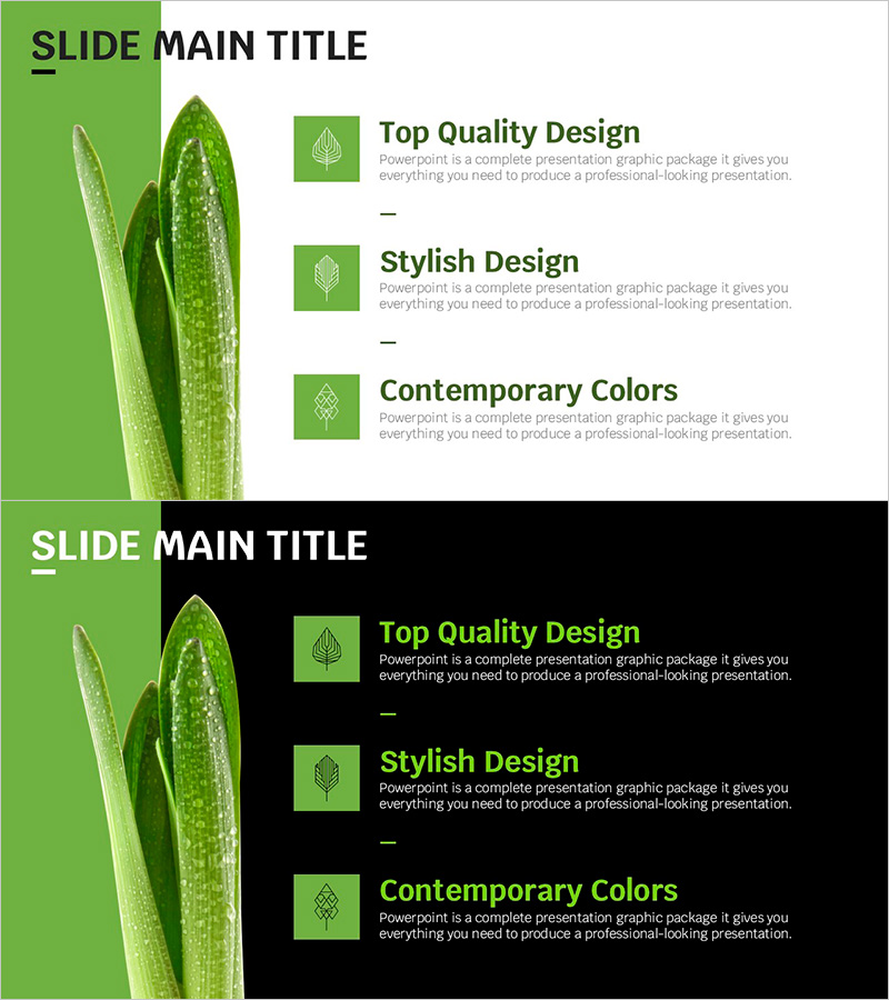 트렌드 컬러 와이드 템플릿 다이어그램 – 현대적이고 스타일리시한 디자인