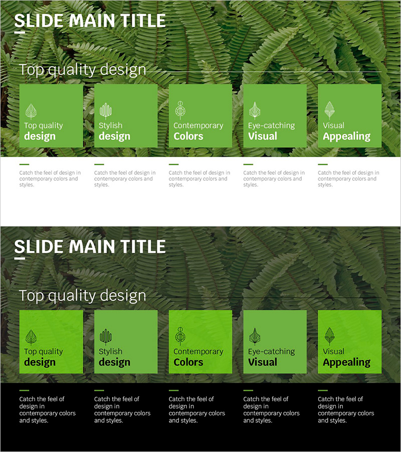 트렌드 컬러 와이드 템플릿 – 스타일리시한 텍스트 박스