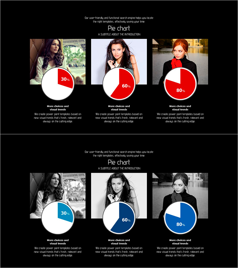 파이차트로 시각화된 데이터 – 직관적인 정보 전달