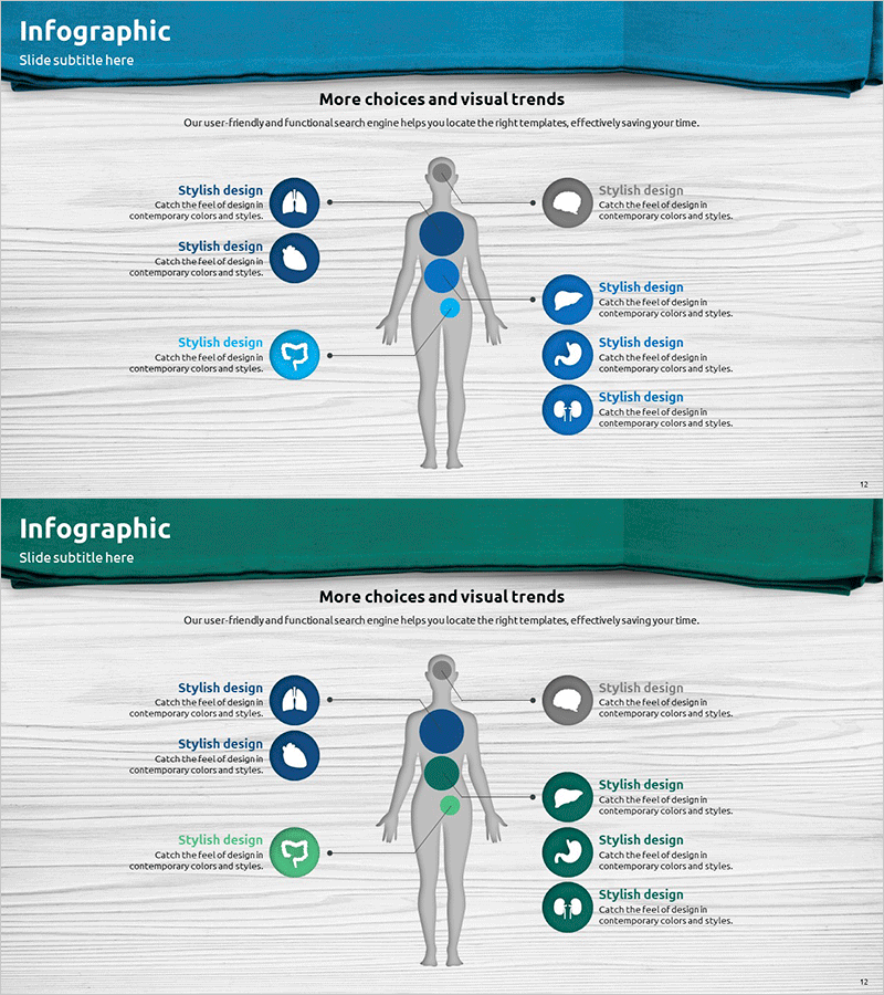 신체 구조 설명 다이어그램 - 인포그래픽 디자인
