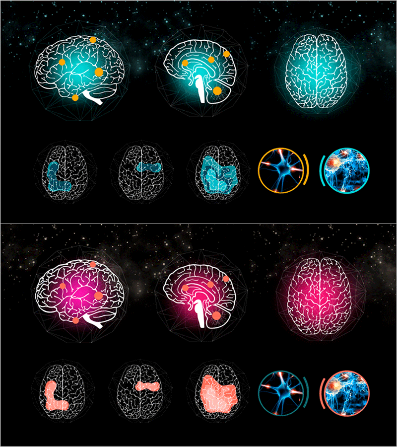 뇌구조 소스 이미지로 인사이트 제공 – 디자인의 힘