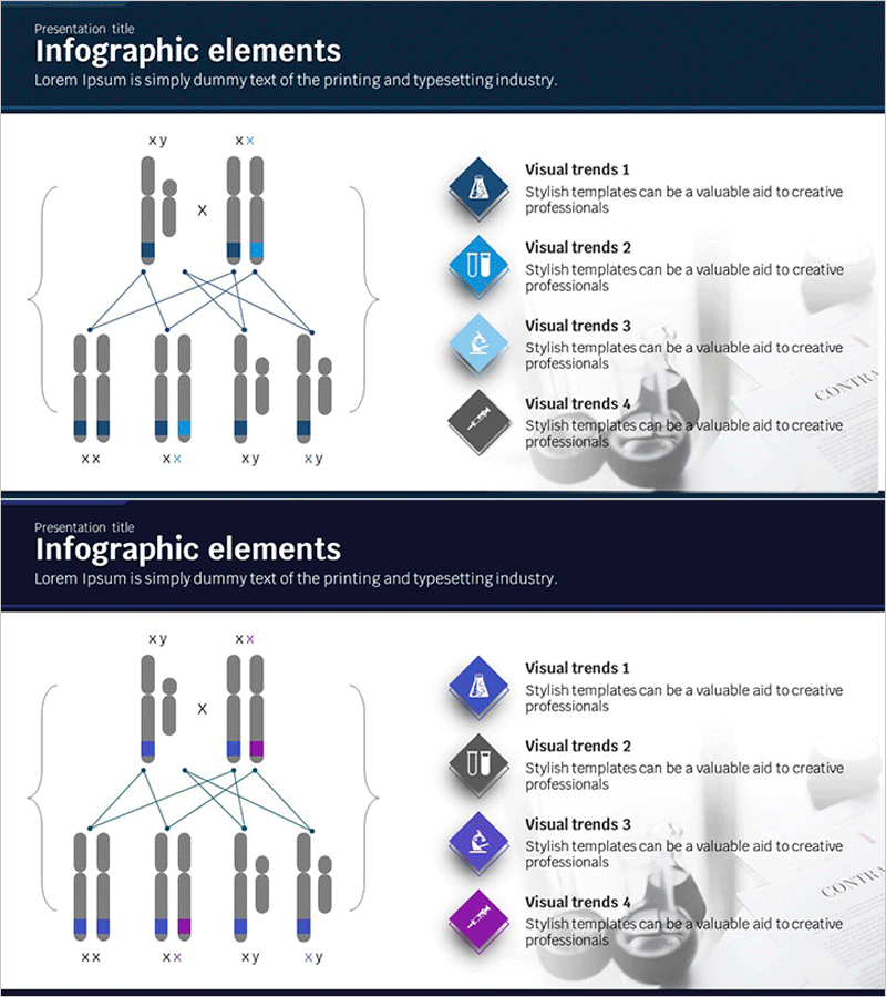 염색체 분석 다이어그램 – 클러스터 구조의 시각적 표현