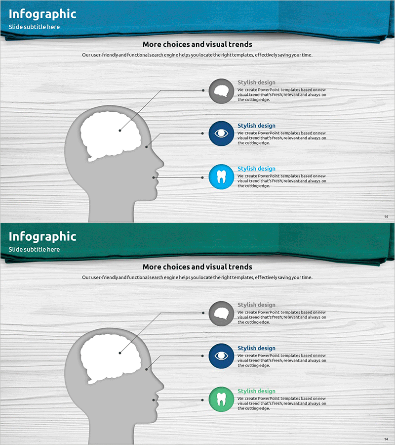 뇌 눈 치아 설명 다이어그램 – 인사이트와 이해 향상