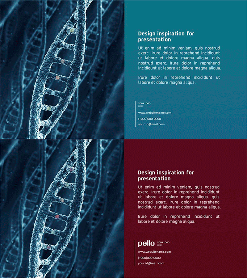 과학 DNA 비즈니스 개요 슬라이드