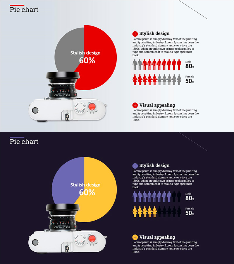 카메라 파이 차트 – 시장 점유율 분석