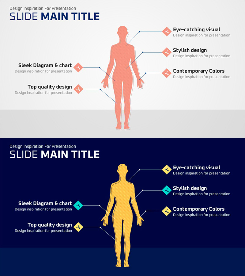 인체 분석 슬라이드 – 시각적 매력을 담은 디자인