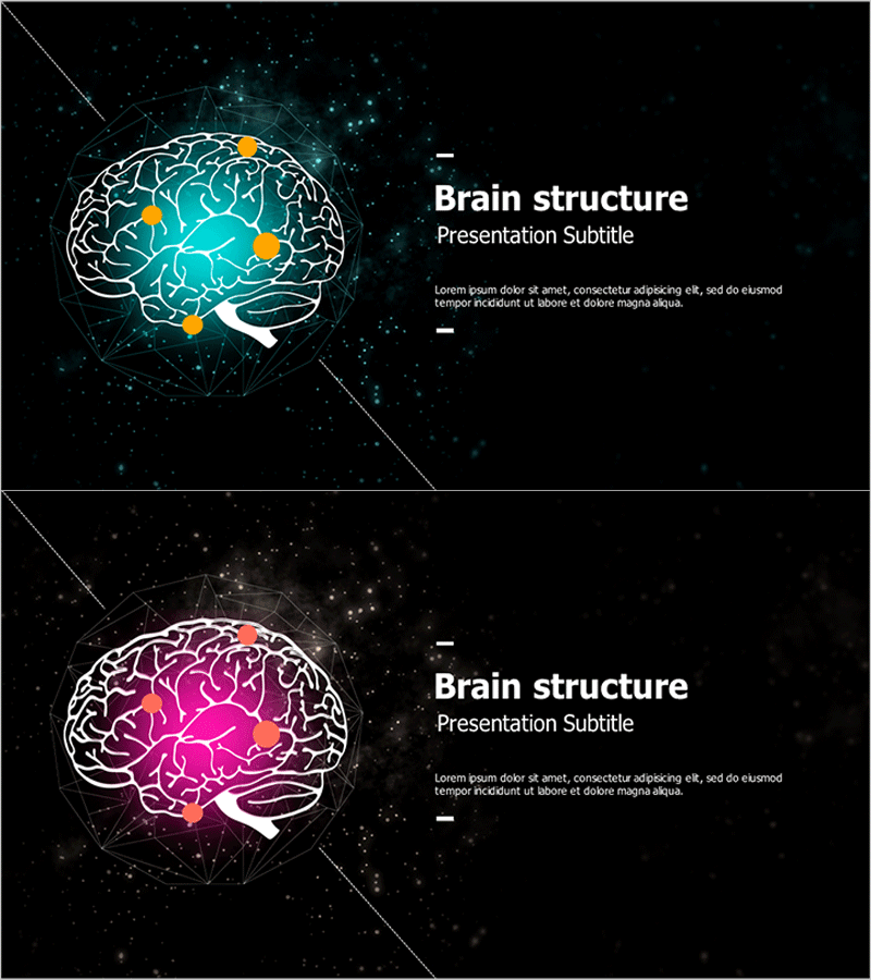 은하 테마 뇌구조 와이드 표지