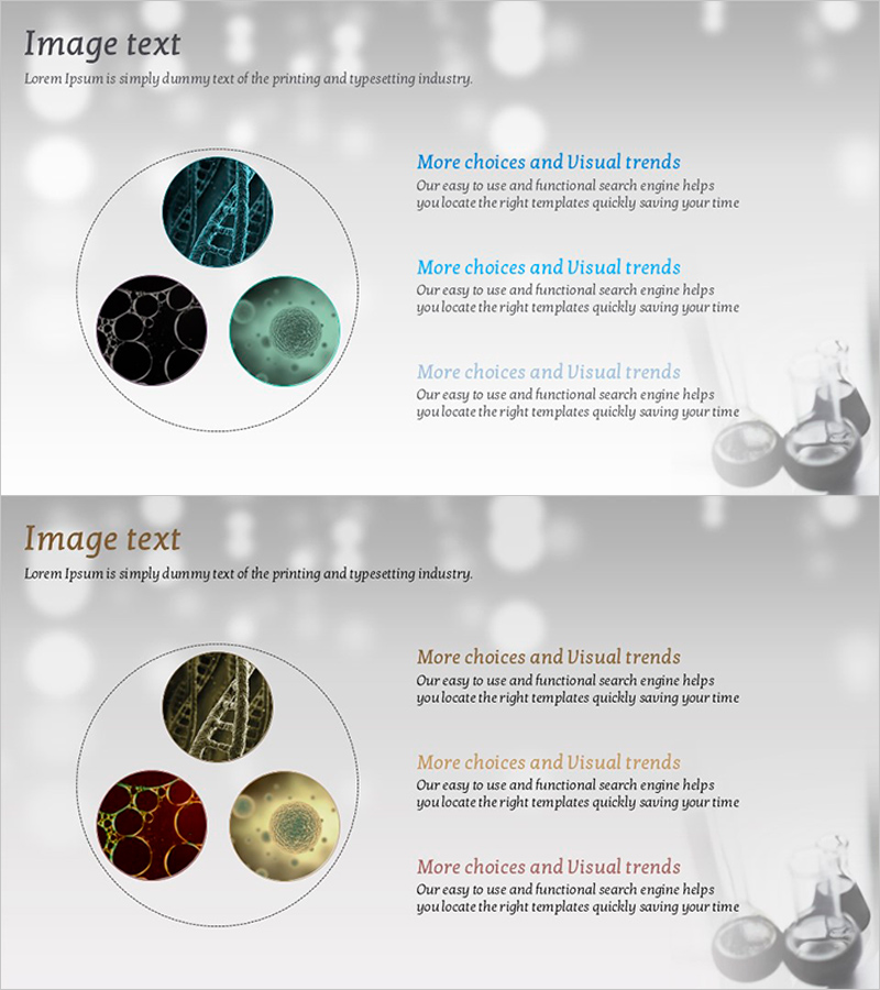 미생물 분석 텍스트 슬라이드 템플릿 – 혁신적 접근과 시각적 표현