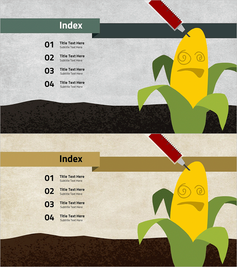 유전자 변형 식품 분석 목차