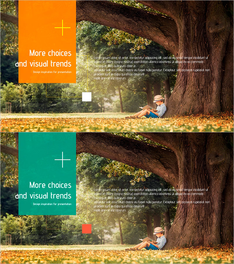 자연 속에서 배우는 즐거움 – 자유로운 경험