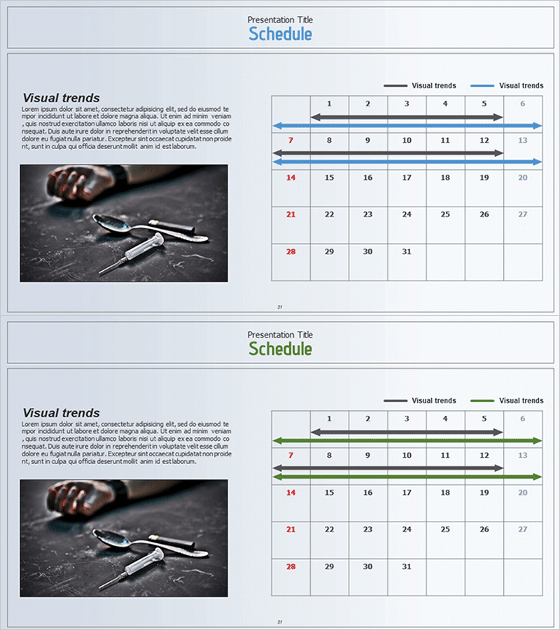 마약 중독 치료 일정계획표 – 사업 관리 및 수행 계획