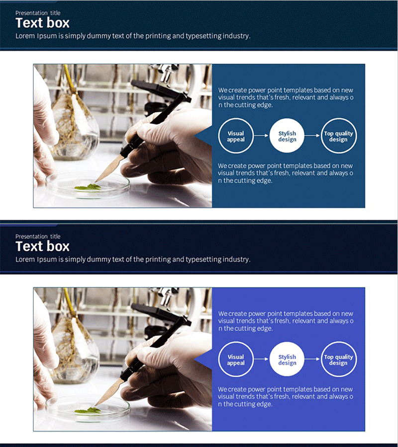 과학 실험 결과 요약 슬라이드 – 혁신과 발견