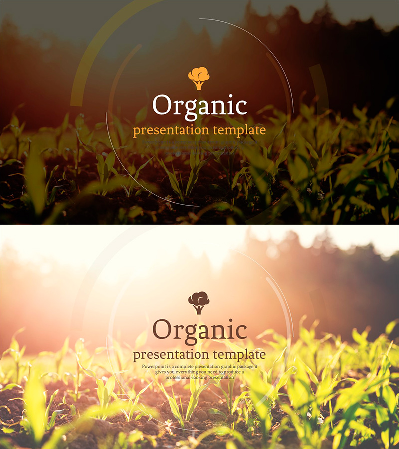 유기농 프레젠테이션 와이드 표지 - 자연의 감성을 담은