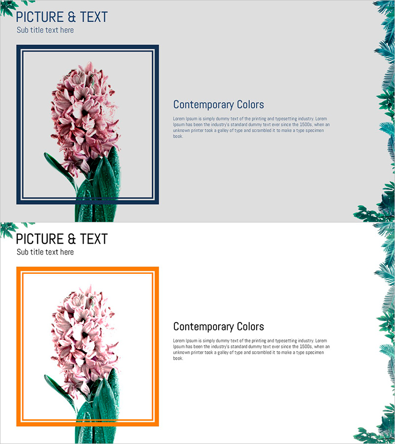 꽃잎 특성을 강조한 시각적 프레젠테이션 슬라이드