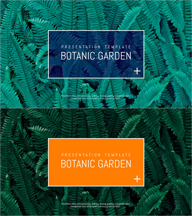 식물원 와이드 PPT 표지 – 자연의 매력을 담은 커버