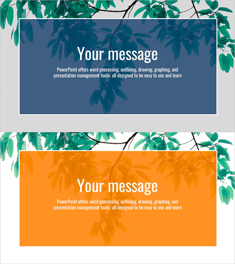 나뭇잎과 메시지 박스 슬라이드 – 친근한 인트로 디자인