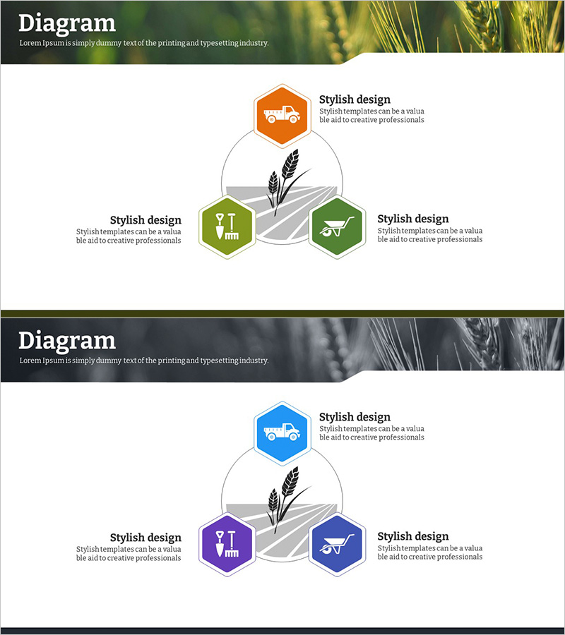 친환경 농업 사업전략 다이어그램 – 지속가능한 농업의 미래