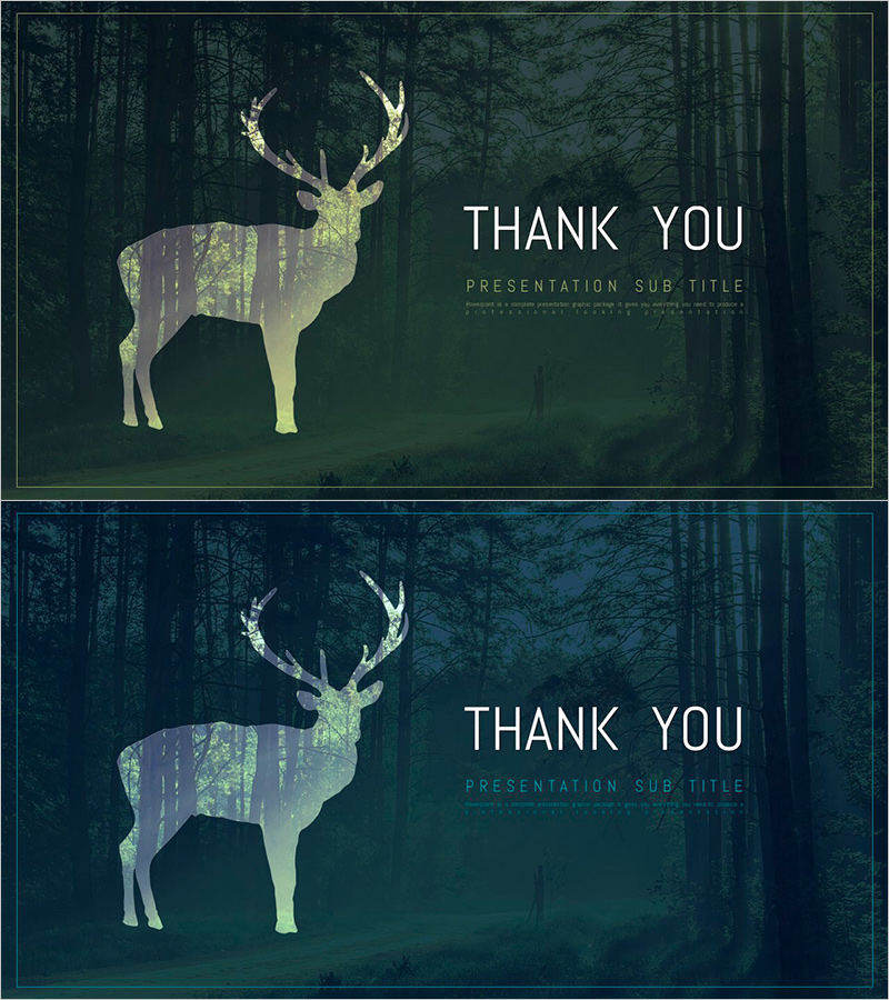 친환경 와이드 PPT 엔딩 표지 – 자연과의 연결