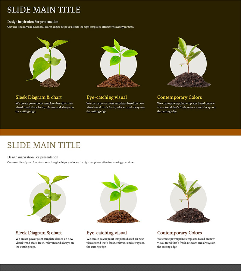 식물 새싹 관리 방법 – 혁신을 담은 프레젠테이션