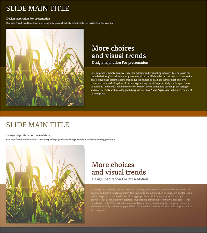 유기농 시장에 대하여 – 지속 가능한 미래를 위한 인사이트