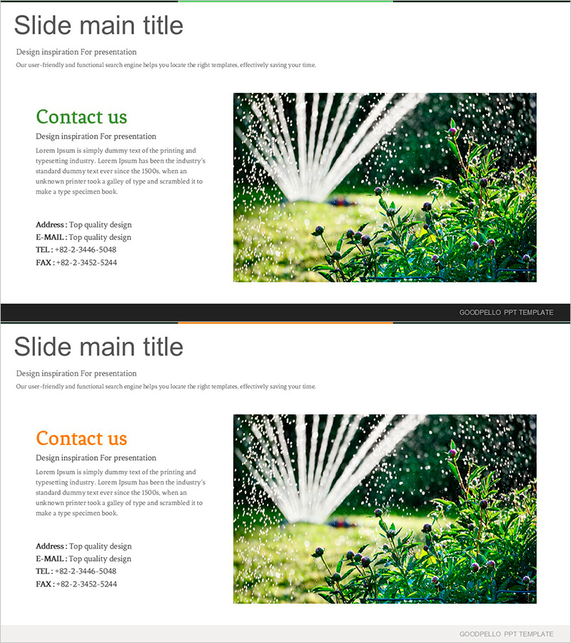 연락처 정보 슬라이드 템플릿 – 숲과 자연의 조화
