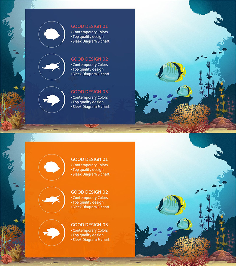 바다 생물별 특징 – 다채로운 해양 생태계