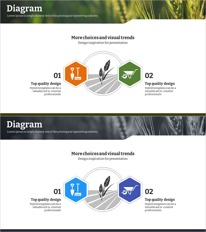 친환경 농업 사업의 비전과 미션 – 지속 가능성의 메시지