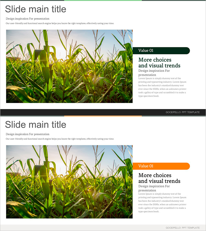 숲의 가치 – 환경 보호 노력과 사회적 책임