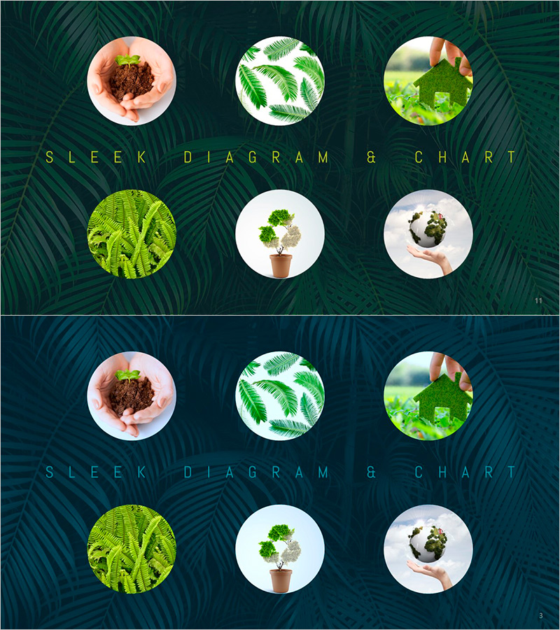 친환경 이미지 슬라이드 – 지속 가능성과 협력