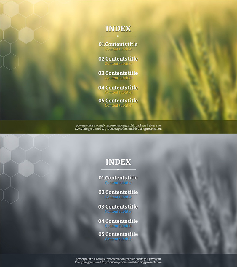 친환경 농업 템플릿 목차 – 지속 가능한 성장 방향 제시