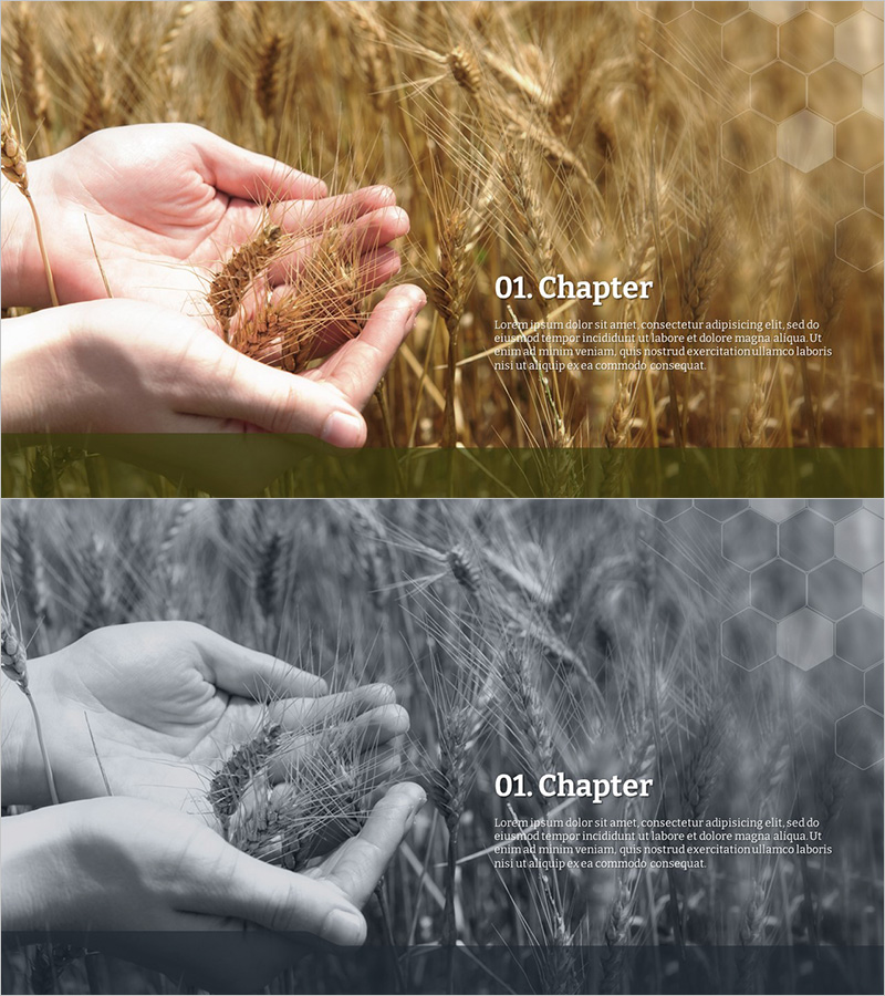 친환경 농업 템플릿 – 간지로 연출하는 자연의 이야기