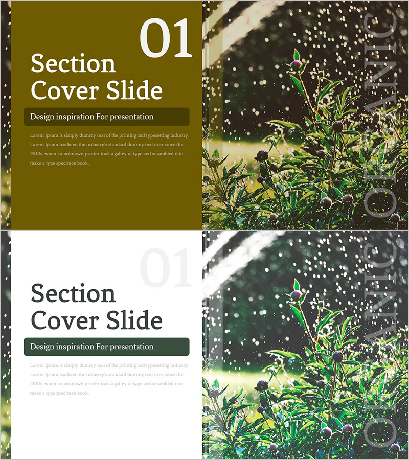 유기농 프레젠테이션 간지 - 섹션 커버 슬라이드