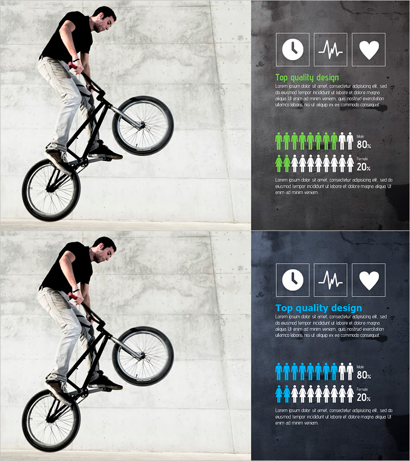 익스트림 스포츠 활동 성비 시각화 그래프