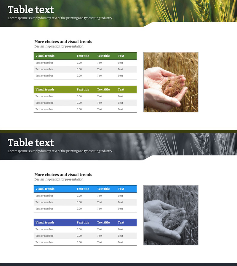 농업 예산 테이블 – 그린과 퍼플의 조화