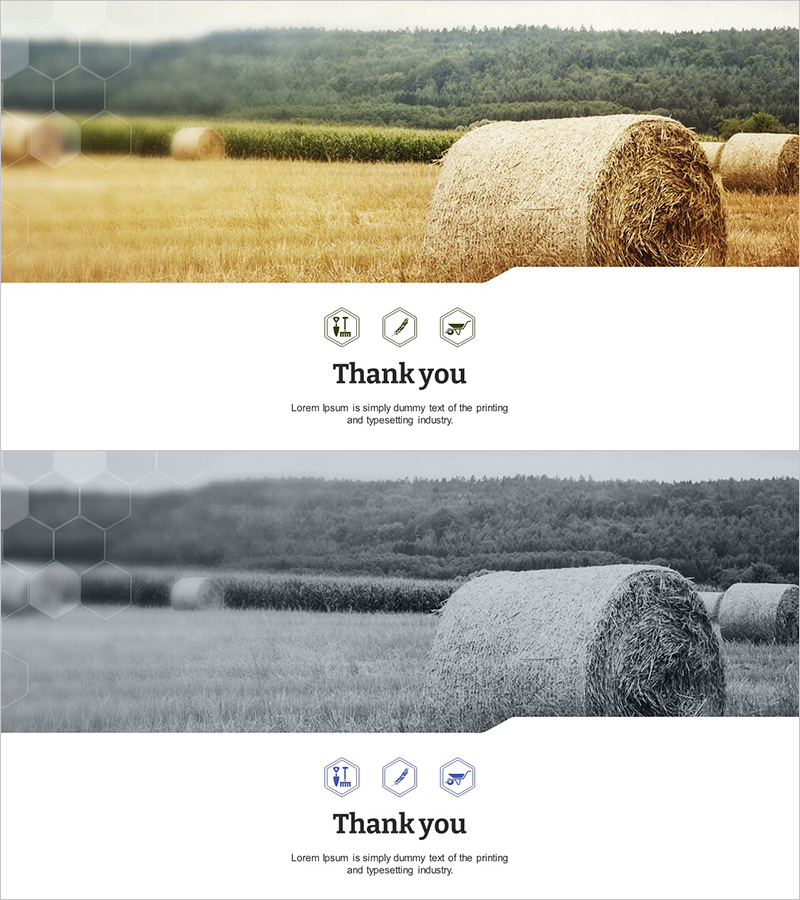 친환경 농업 템플릿 – 구성한 마지막 페이지