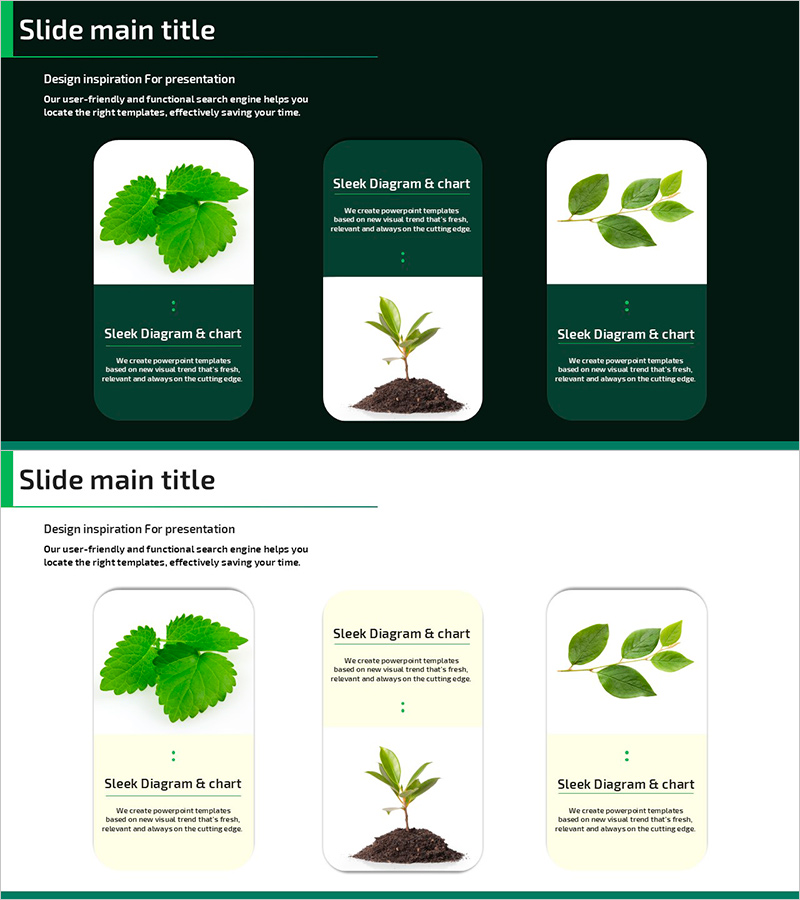 어린 잎의 특징을 시각화한 클러스터 다이어그램 슬라이드