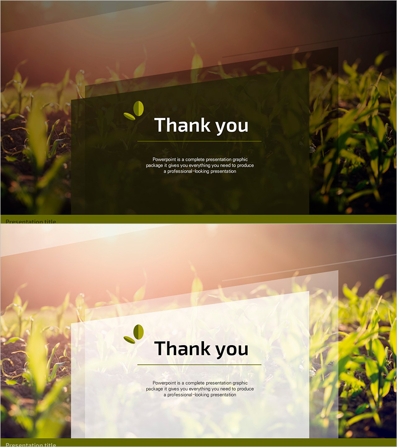 자연 숲 프레젠테이션 와이드 엔딩 표지