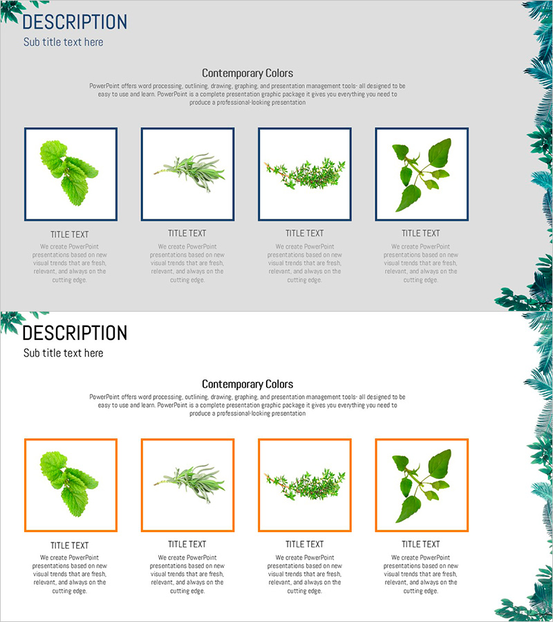 풀잎의 특성을 시각화한 클러스터 슬라이드