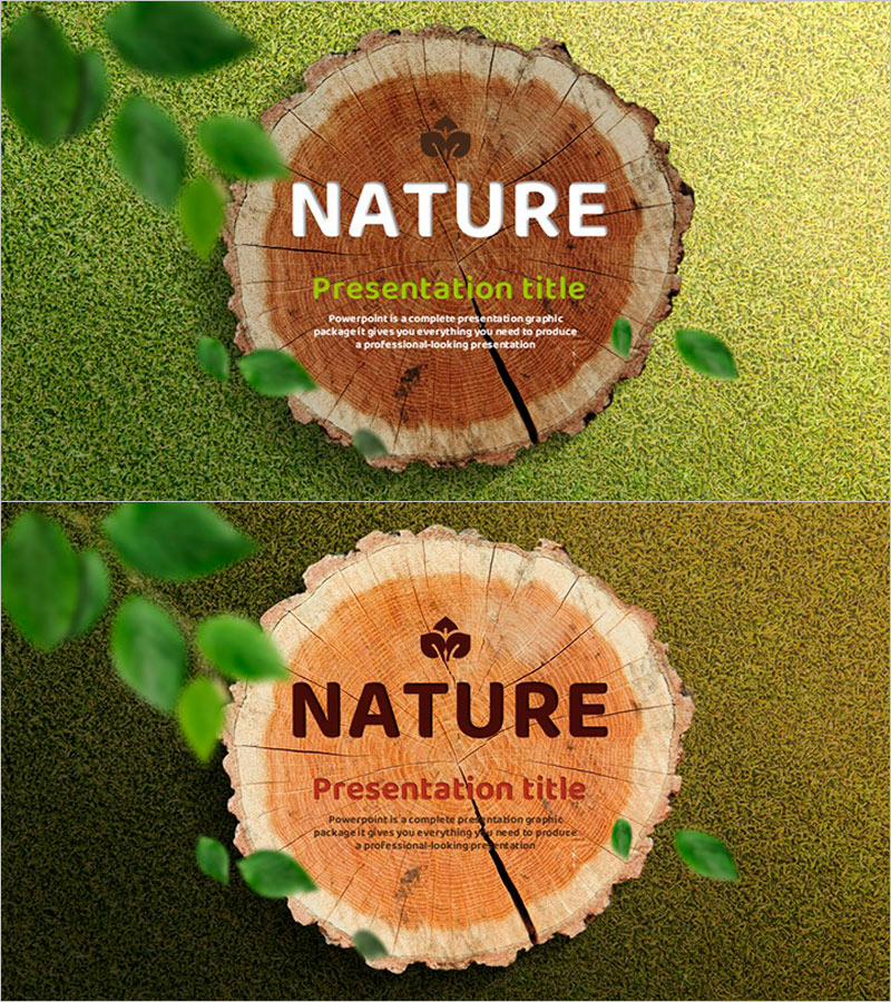 친환경 자연 템플릿 – 감성을 담은 표지 디자인