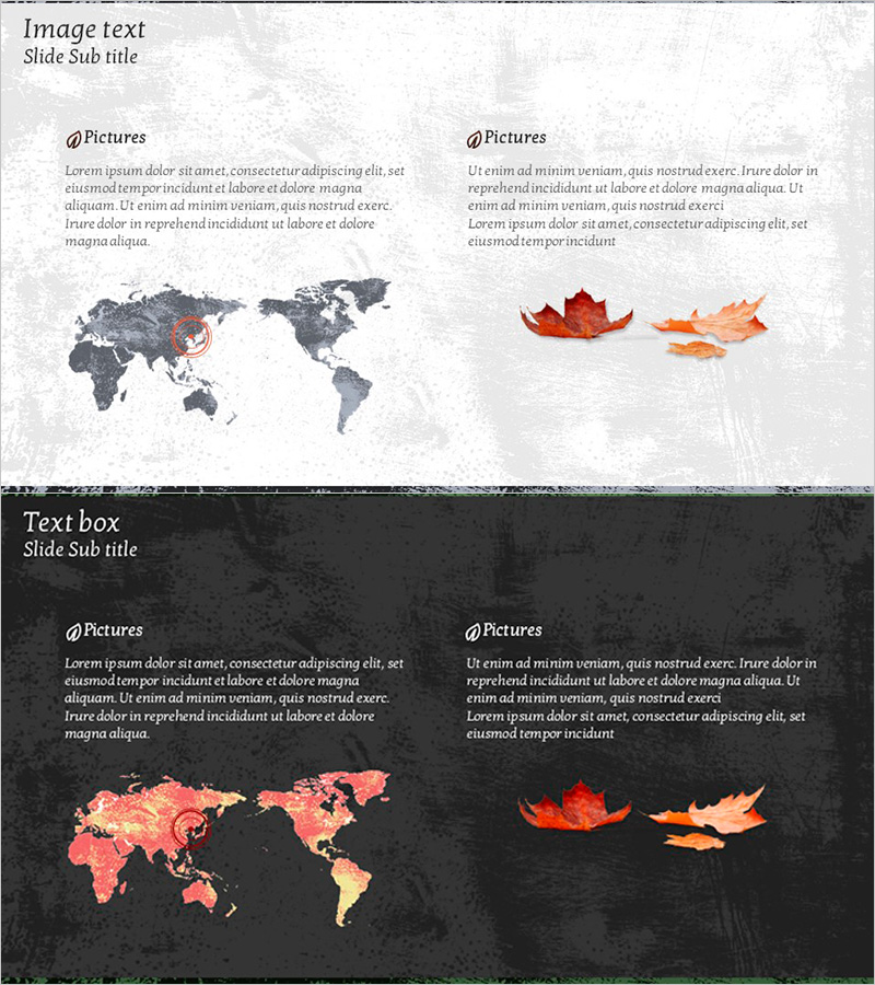 단풍잎 세계지도 – 사업 비전과 글로벌 마케팅 전략