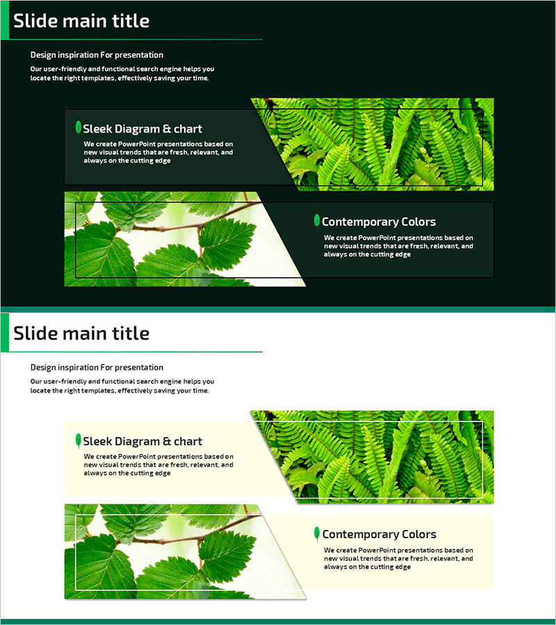 숲의 특징 – 자연의 아름다움을 담은 슬라이드