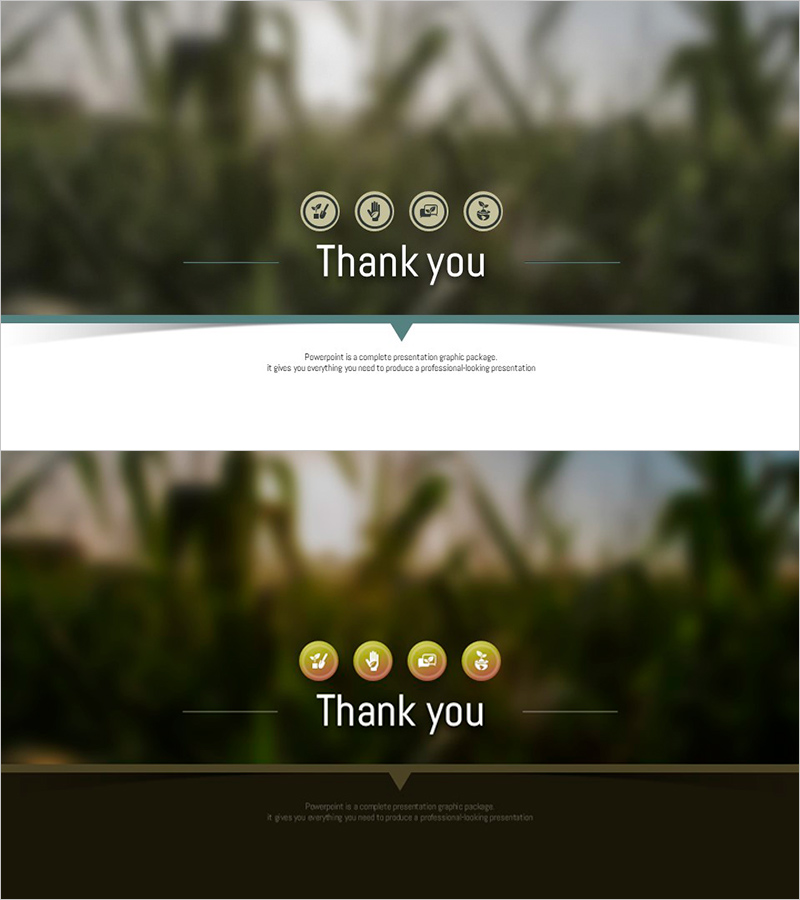 자연환경 와이드 템플릿 – 엔딩 페이지